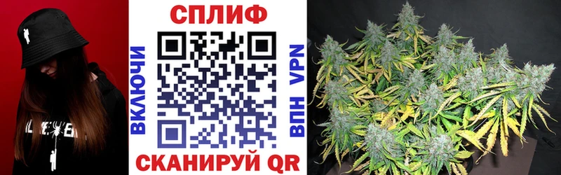 omg вход  Вяземский  Бошки Шишки Bruce Banner  что такое наркотик 